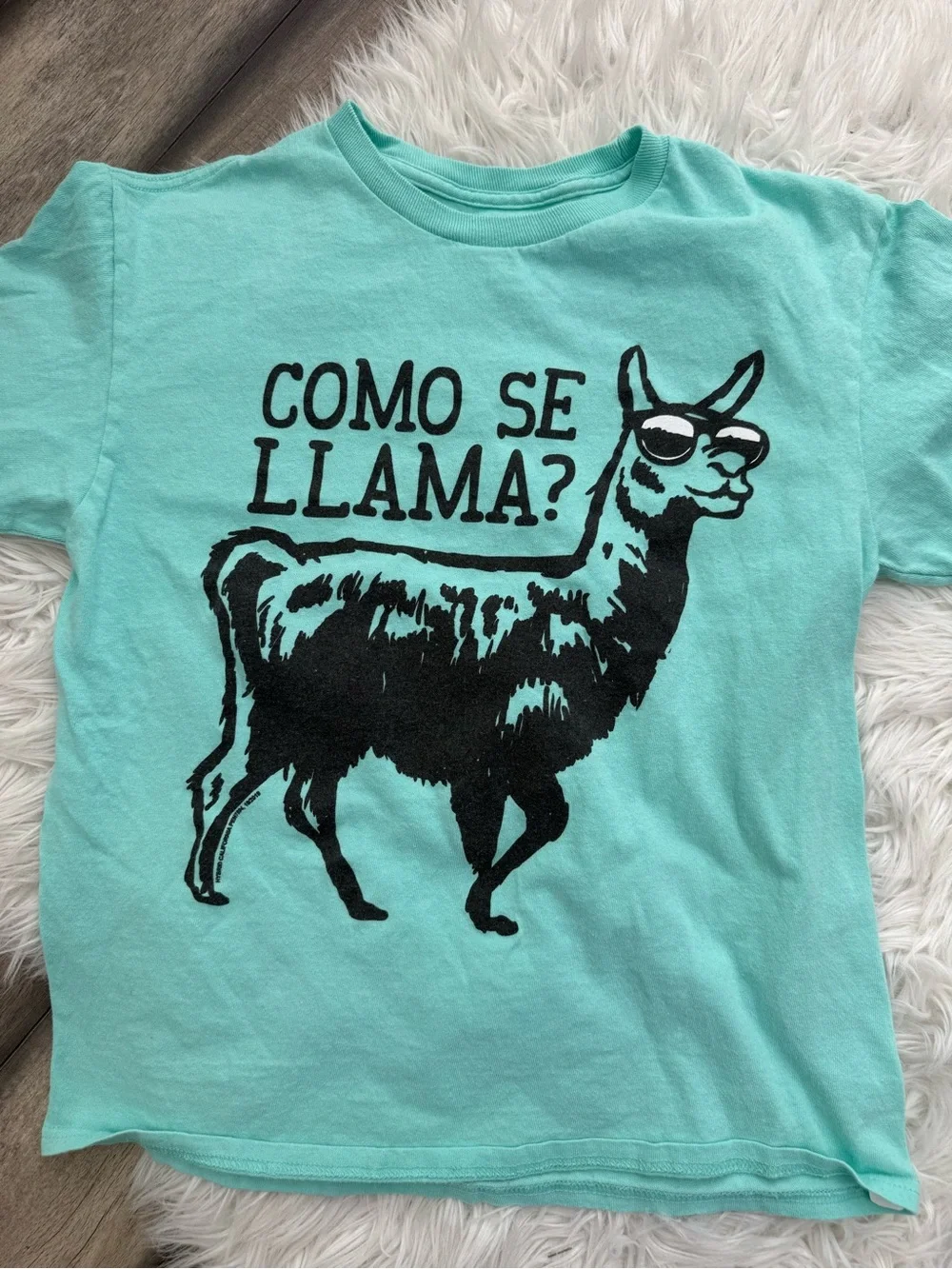 Cat & Jack Aqua Llama Tee with Gray Knit Shorts